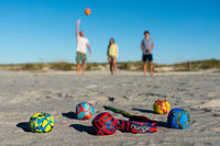 FLUNGLE Ball Toss Game