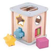 100% FSC Certified Shape Sorter