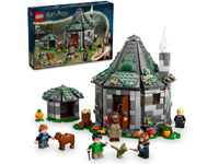 Hagrid's Hut: An Unexpected Visit
