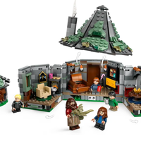 Hagrid's Hut: An Unexpected Visit