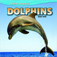 Dolphins : Marine Mammals