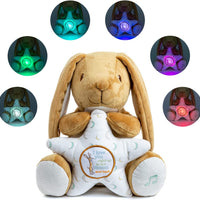 Guess How Much I Love You - Nutbrown Hare Rabbit