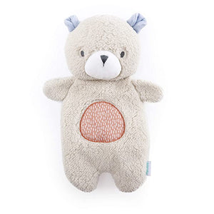 Ingenuity Premium Soft Plush Soothing Bean Bag Lovey - Nate The Teddy Bear, Ages Newborn and up