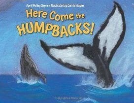 Here Come the Humpbacks