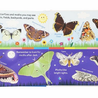 Smithsonian Kids: Butterflies and Moths