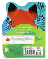 A Little Fox
