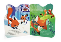 A Little Fox
