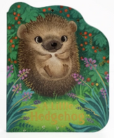 A Little Hedgehog
