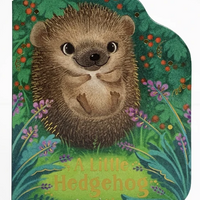 A Little Hedgehog
