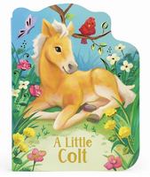 A Little Colt
