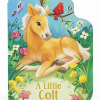 A Little Colt