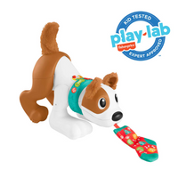 Fisher-Price 123 Crawl With Me Puppy Infant Learning Toy