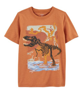 Dinosaur Jersey Tee