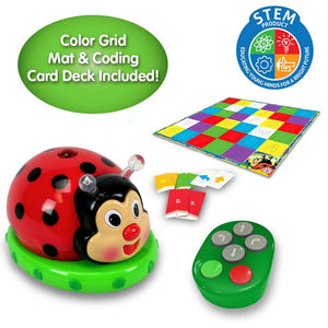 Code & Learn! Ladybug